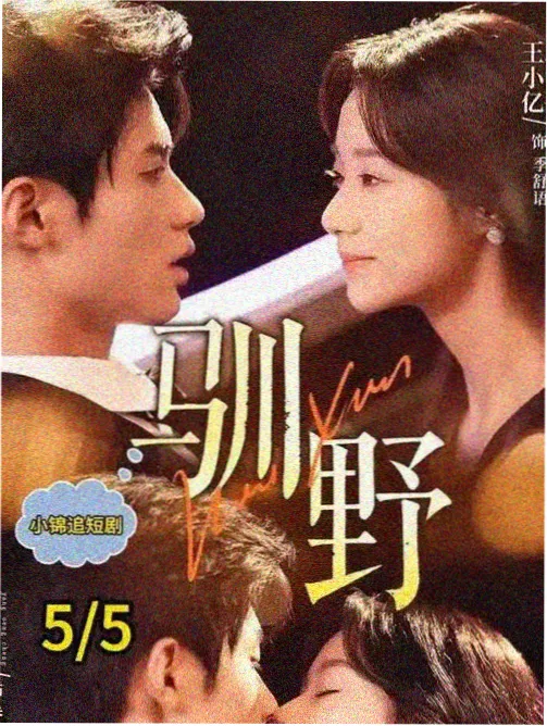 山海情 扶贫剧高清免费看